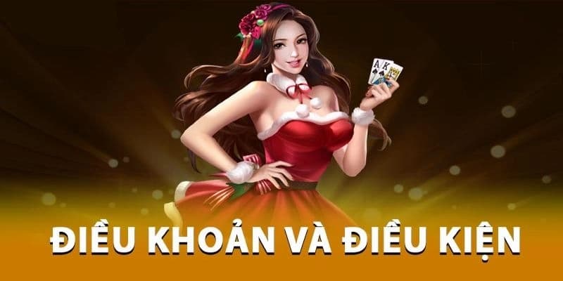 Điều khoản điều kiện Điều khoản điều kiện là gì?